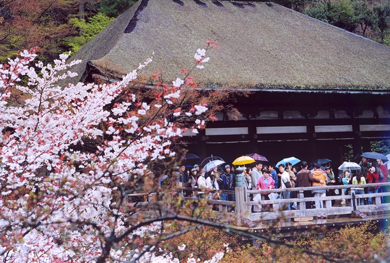 京都的世遺：清水寺