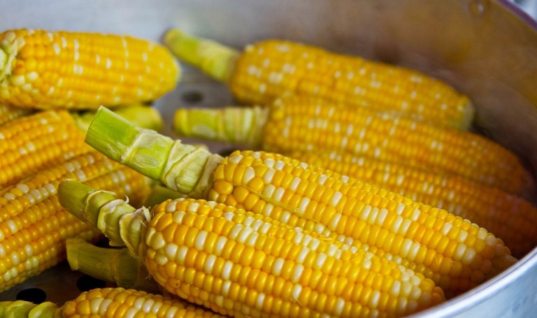 吃黃金玉米棒，真能減肥嗎？