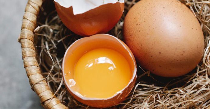 紅殼蛋或紅蛋黃較營養？專家指點挑蛋與保存該懂的事