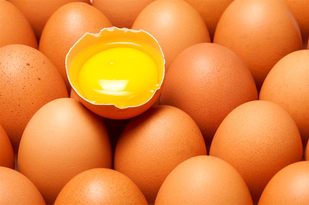 拒買變色壞蛋！4招挑選新鮮雞蛋